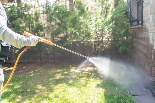 Best Termite Control Services  in Bardstown, KY